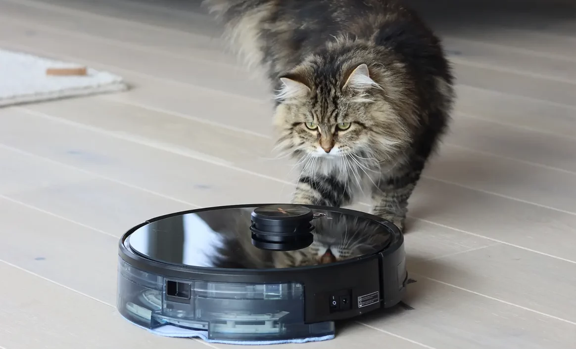 Robotstøvsuger til kattehår – Her er vores bedste modeller